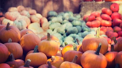 pumpkins and gourds - full