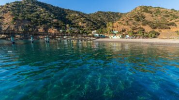 Catalina Island Marine Institute