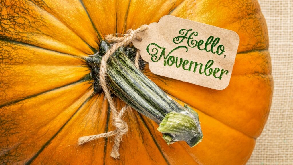 Hello November pumpkin