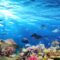 aquarium