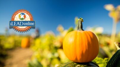 pumpkin patch iLEAD Online