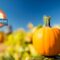 pumpkin patch iLEAD Online