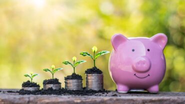 money plant piggy bank financial literacy