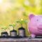 money plant piggy bank financial literacy