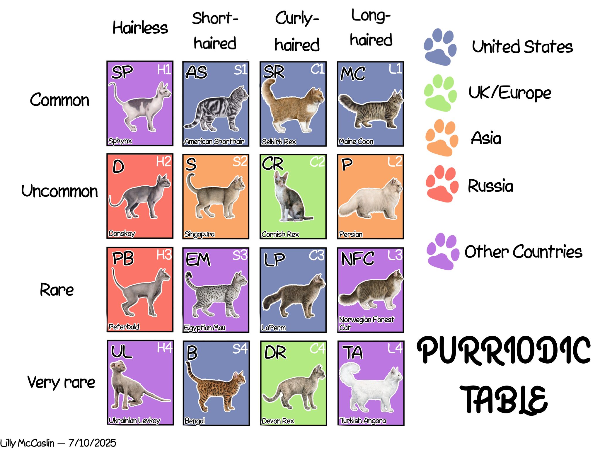 Purriodic Table Lilly M